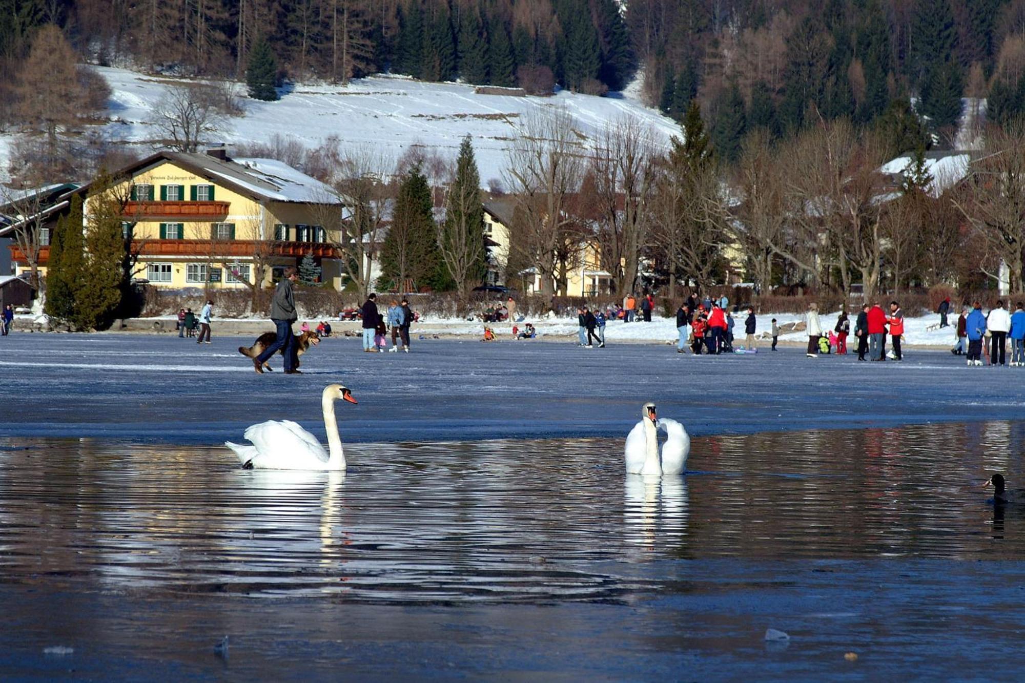 Landhotel Schuetzenhof Fuschl am See Exterior photo