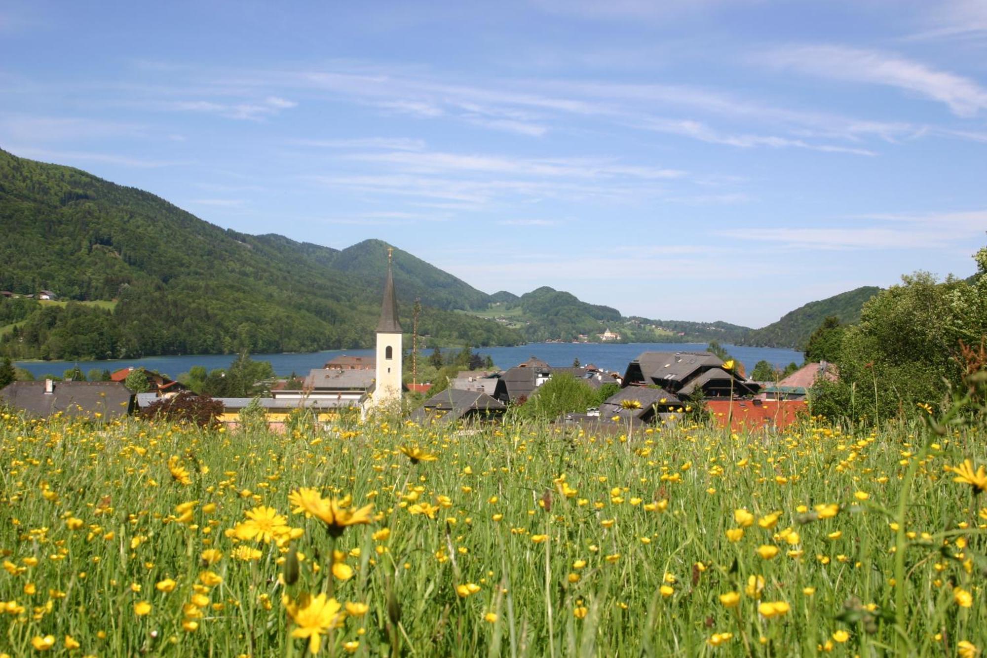 Landhotel Schuetzenhof Fuschl am See Exterior photo